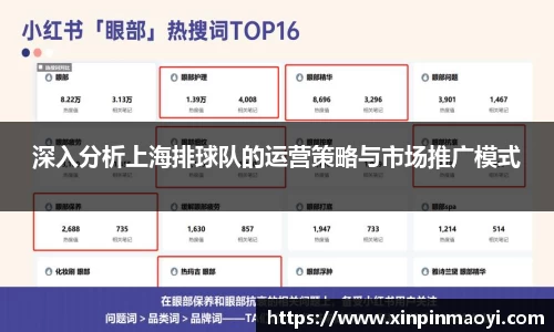 深入分析上海排球队的运营策略与市场推广模式