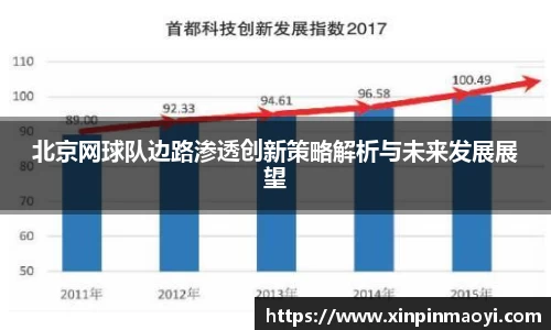 北京网球队边路渗透创新策略解析与未来发展展望