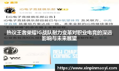 热议王者荣耀IG战队耐力变革对职业电竞的深远影响与未来展望