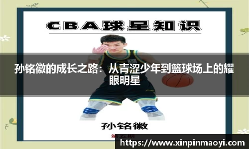 JN体育