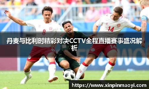 丹麦与比利时精彩对决CCTV全程直播赛事盛况解析